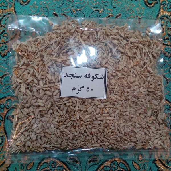 شکوفه سنجد - Image 2