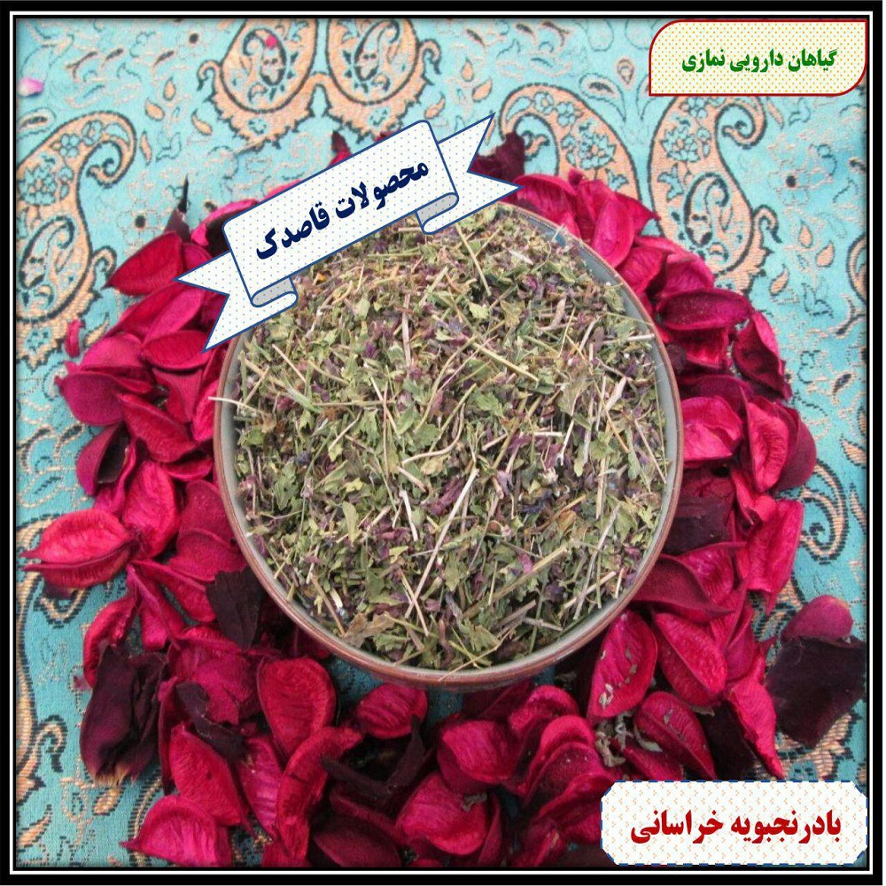 بادرنجبویه خراسانی