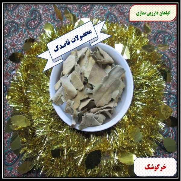 دم گاو