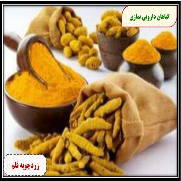 زردچوبه زرین ناساب