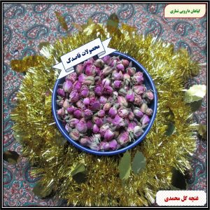 غنچه گل محمدی