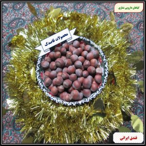 فندق ایرانی