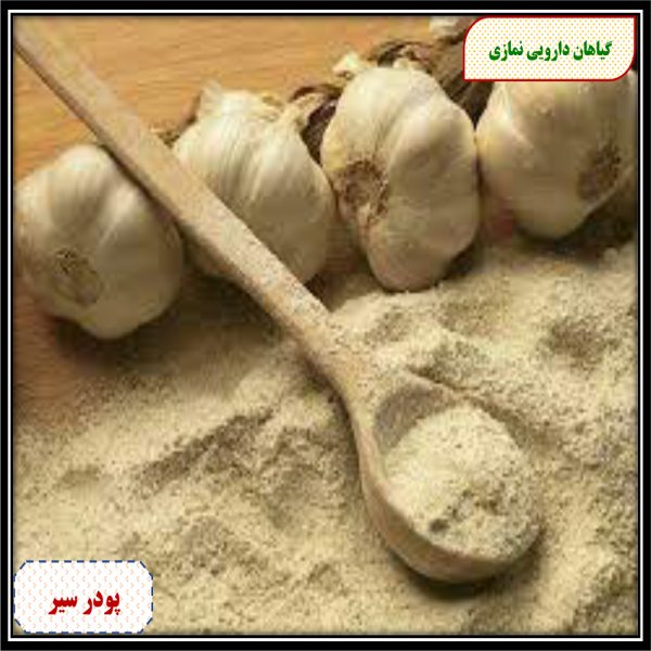 پودر سیر