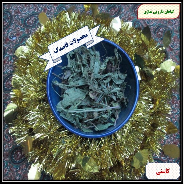 کاسنی