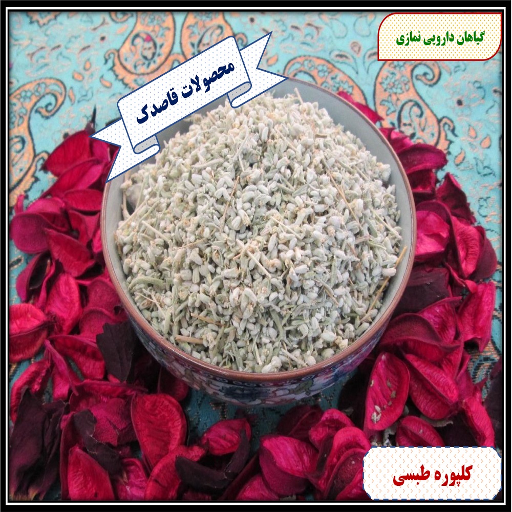 کلپوره طبسی