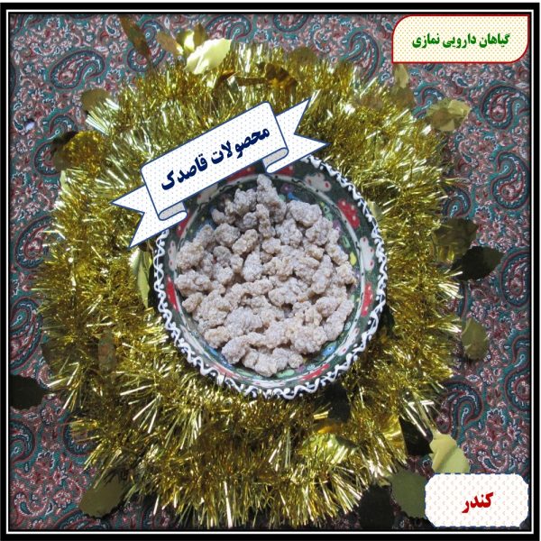 کندر دودی