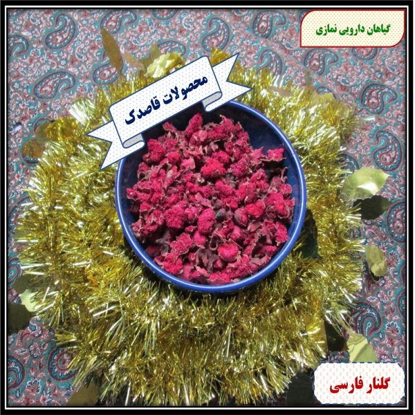 گلنار فارسی