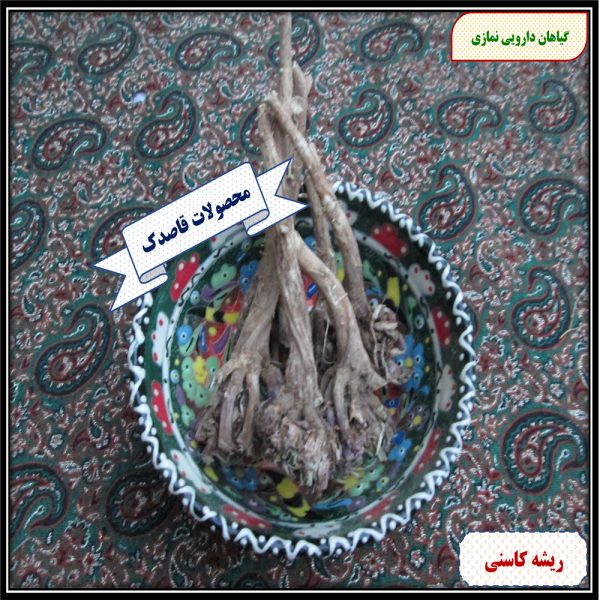 ریشه کاسنی