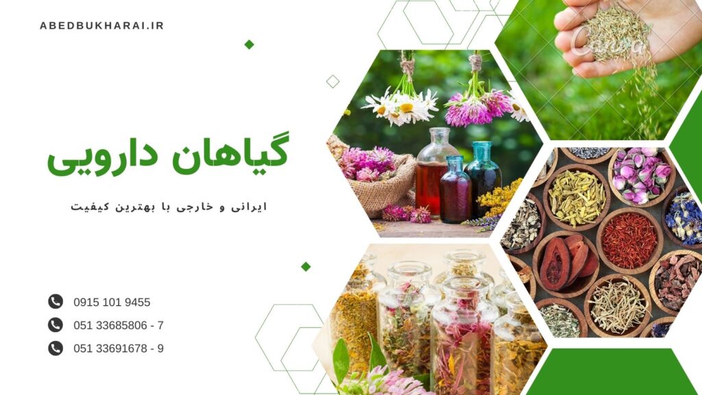 گیاهان دارویی ایرانی